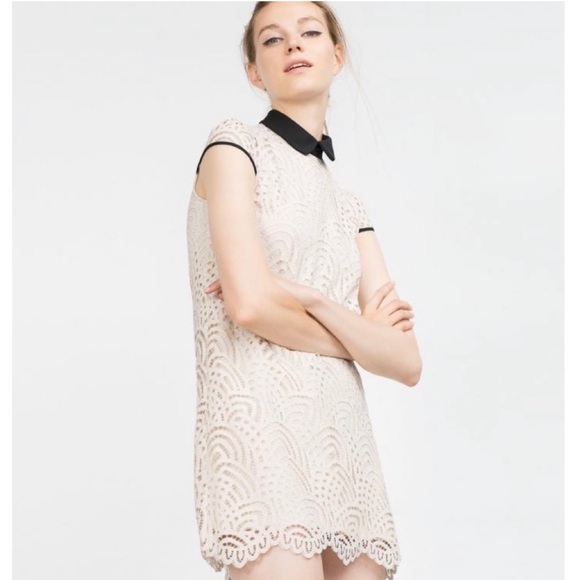 NWOT Zara Lace Dress with Black Collar - Picture 1 of 6